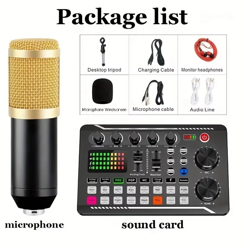 Condenser Microphone Professio - огляд і ціна Audio Music Voice Changer